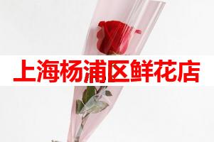 上海杨浦区鲜花店(可送货上门)