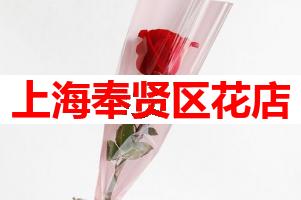 上海奉贤区花店(可送货上门)