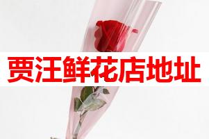 贾汪鲜花店地址(可送货上门)
