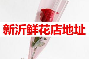 新沂鲜花店地址(可送货上门)