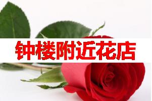 钟楼附近花店(可送货上门)