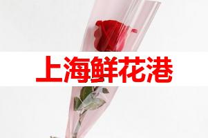 上海鲜花港(可送货上门)
