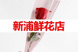 新浦鲜花店(可送货上门)