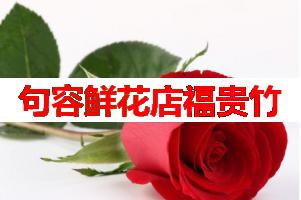 句容鲜花店福贵竹(可送货上门)