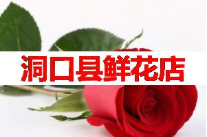 洞口县鲜花店(可送货上门)