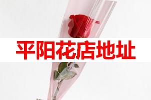 平阳花店地址(可送货上门)