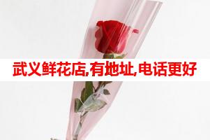 武义鲜花店,有地址,电话更好(可送货上门)