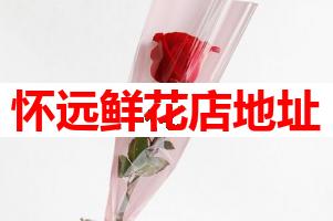 怀远鲜花店地址(可送货上门)