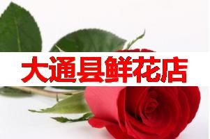 大通县鲜花店(可送货上门)