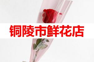 铜陵市鲜花店(可送货上门)