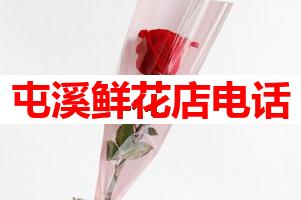 屯溪鲜花店电话(可送货上门)