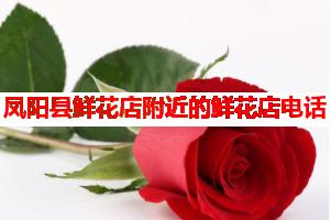 凤阳县鲜花店附近的鲜花店电话(可送货上门)