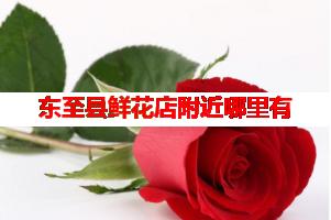 东至县鲜花店附近哪里有(可送货上门)