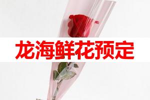 龙海鲜花预定(可送货上门)