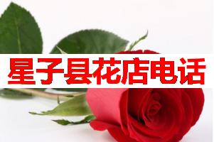 星子县花店电话