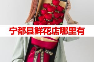 宁都县鲜花店哪里有