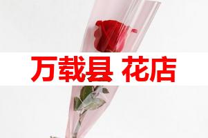 万载县 花店
