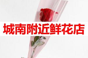 城南附近鲜花店