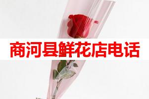 商河县鲜花店电话