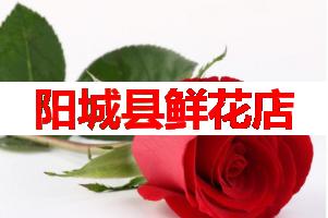阳城县鲜花店