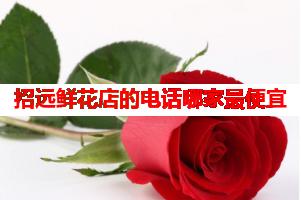 招远鲜花店的电话哪家最便宜