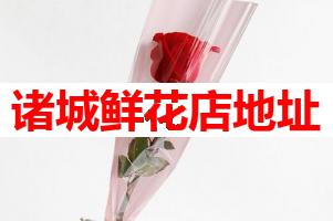 诸城鲜花店地址
