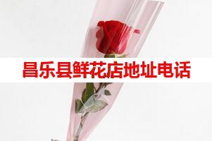 昌乐县鲜花店地址电话