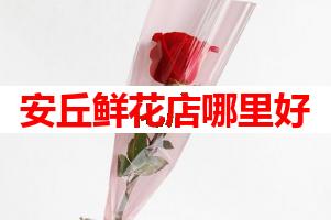 安丘鲜花店哪里好