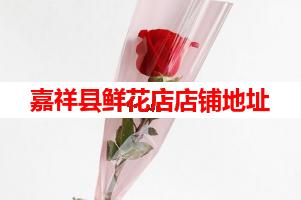 嘉祥县鲜花店店铺地址