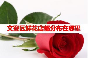 文登区鲜花店都分布在哪里