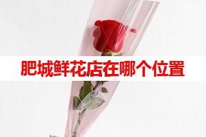 肥城鲜花店在哪个位置