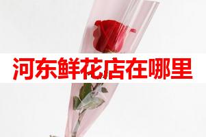 河东鲜花店在哪里