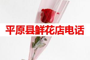 平原县鲜花店电话