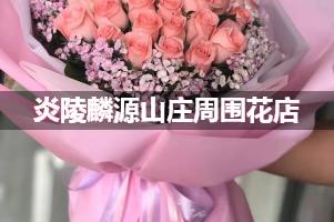 炎陵麟源山庄周围有花店吗？