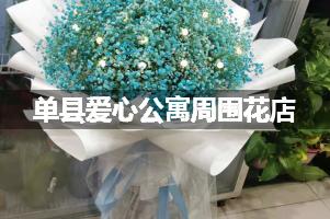 单县爱心公寓周围有花店吗？