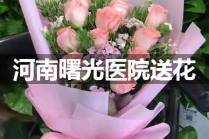 河南曙光医院送鲜花的，老牌花店