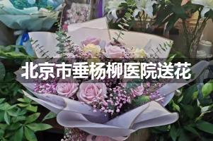 北京市垂杨柳医院送鲜花的，老牌花店