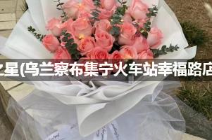 锦江之星(乌兰察布集宁火车站幸福路店)周围花店，高端花店