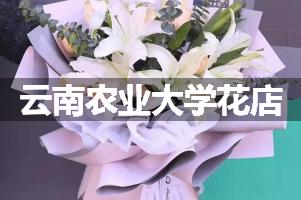 云南农业大学周围花店