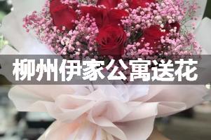柳州伊家公寓送花服务
