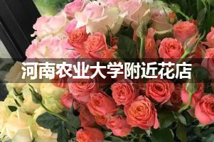 河南农业大学附近鲜花店,高端花店