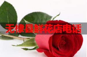 无棣县鲜花店电话