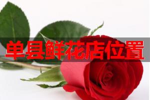 单县鲜花店位置