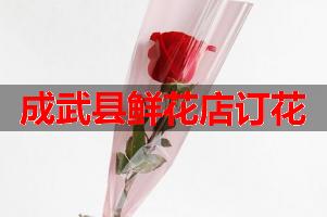 成武县鲜花店订花