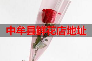 中牟县鲜花店地址
