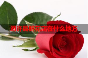 通许县鲜花店在什么地方