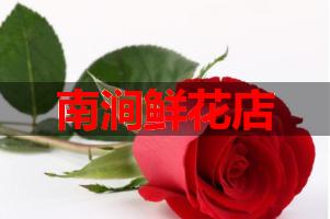 南涧鲜花店