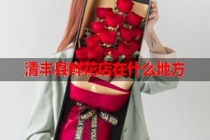 清丰县鲜花店在什么地方