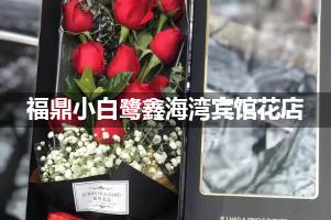 福鼎小白鹭鑫海湾宾馆附近卖鲜花的（10年老店）