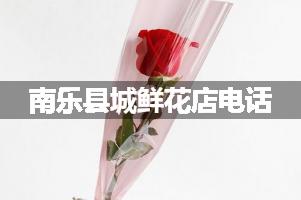 南乐县城鲜花店电话